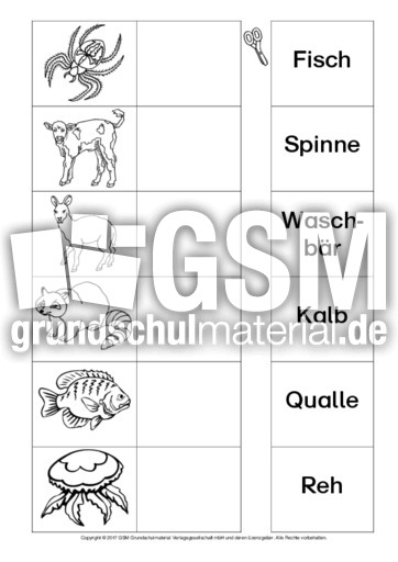 AB-Tiere-Zuordnung 9.pdf